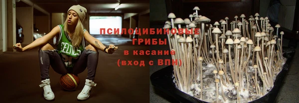 скорость Арсеньев