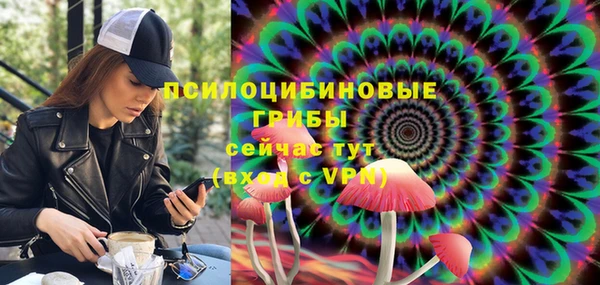 стафф Армянск