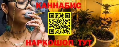 гашик Жуковский