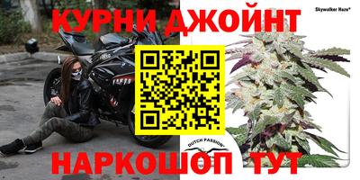 mdpv Заводоуковск