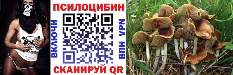 Галлюциногенные грибы мухоморы  Можга 