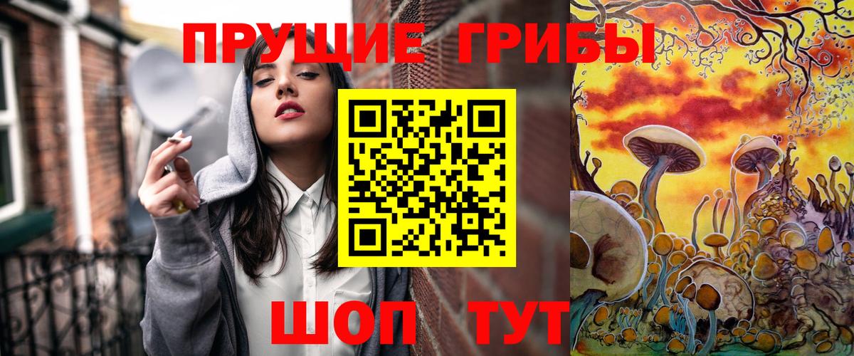 Можга  Галлюциногенные грибы MAGIC MUSHROOMS  Вход с VPN 